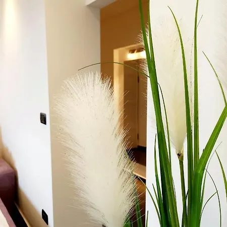 Luxury Aurora - Cod 0409 Apartman